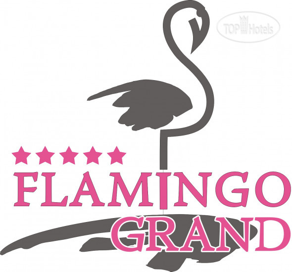 Photos Flamingo