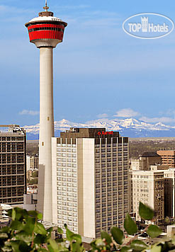 Фото Calgary Marriott Downtown Hotel
