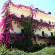 Photos Knossos Hotel