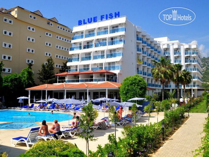 Photos Blue Fish Hotel