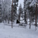 Photos Lapland Hotel Bear's Lodge